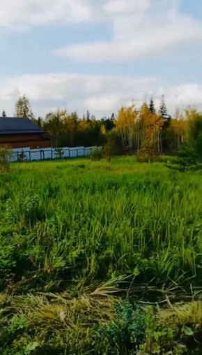 ДП Родной в Камышлове - kamyshlov.yutvil.ru ДП Родной в Камышлове - kamyshlov.yutvil.ru