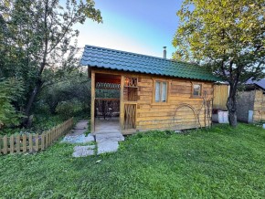 Екатеренбург сад Торгмаш, СНТ  Садовод, уч. 52 в Камышлове - kamyshlov.yutvil.ru - фото 12