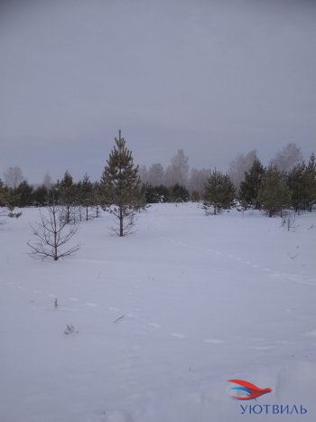 Земельный участок поселок Баженово в Камышлове - kamyshlov.yutvil.ru - фото 5