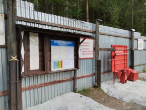 г.Верхняя Пышма СНТ №5 Березки в кв. 22 Среднеуральского Уралмашевского лесхоза в Камышлове - kamyshlov.yutvil.ru - фото 18