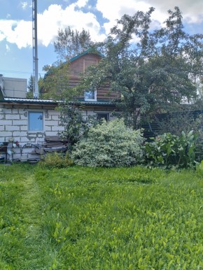 Коллективный сад номер 7, участок 58 в Камышлове - kamyshlov.yutvil.ru - фото 21 Коллективный сад номер 7, участок 58 в Камышлове - kamyshlov.yutvil.ru - фото 21