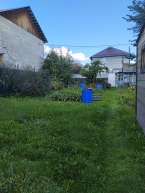 Коллективный сад номер 7, участок 58 в Камышлове - kamyshlov.yutvil.ru - фото 26 Коллективный сад номер 7, участок 58 в Камышлове - kamyshlov.yutvil.ru - фото 26