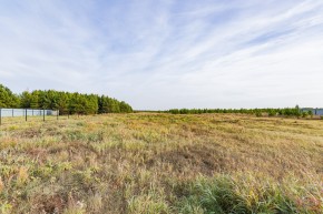 Российская Федерация, Свердловская область, Сысертский городской округ, территория садоводческого некоммерческого товарищества Бобровские дачи, улица Каштановая, земельный участок № 38 в Камышлове - kamyshlov.yutvil.ru - фото 16