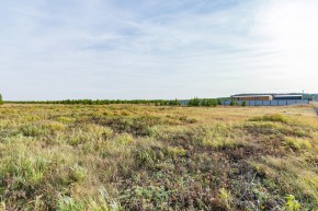 Российская Федерация, Свердловская область, Сысертский городской округ, территория садоводческого некоммерческого товарищества Бобровские дачи, улица Каштановая, земельный участок № 38 в Камышлове - kamyshlov.yutvil.ru - фото 24