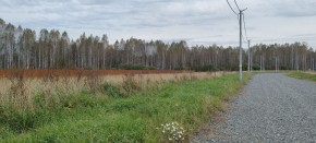 с. Новоалексеевское, КП Оникс,  в Камышлове - kamyshlov.yutvil.ru - фото 2