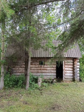 СНТ Калининец-10, уч. 1-11-3 в Камышлове - kamyshlov.yutvil.ru - фото 2 СНТ Калининец-10, уч. 1-11-3 в Камышлове - kamyshlov.yutvil.ru - фото 2