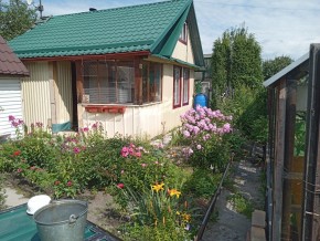 СНТ Медик-2 в Камышлове - kamyshlov.yutvil.ru