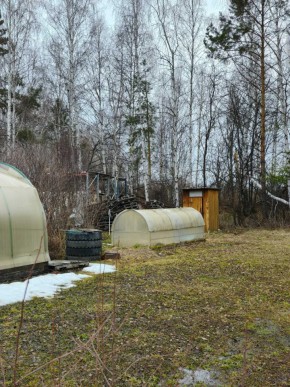 СНТ Родники в Камышлове - kamyshlov.yutvil.ru - фото 14