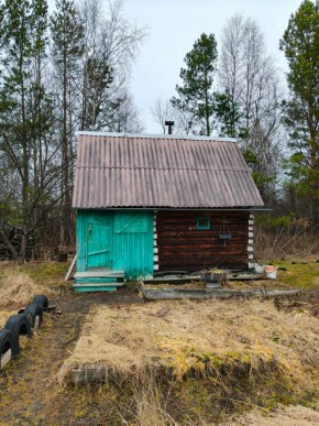 СНТ Родники в Камышлове - kamyshlov.yutvil.ru - фото 8