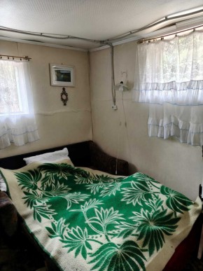 СНТ Родники в Камышлове - kamyshlov.yutvil.ru - фото 10