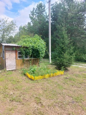 СНТ Родники в Камышлове - kamyshlov.yutvil.ru - фото 2