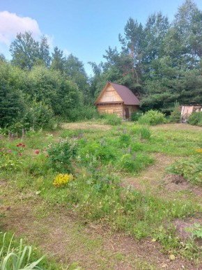 СНТ Родники в Камышлове - kamyshlov.yutvil.ru - фото 3