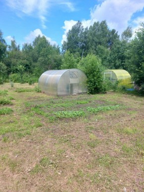 СНТ Родники в Камышлове - kamyshlov.yutvil.ru - фото 4