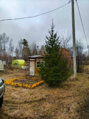 СНТ Родники в Камышлове - kamyshlov.yutvil.ru - фото 5