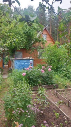 Екатеринбург, СНТ Садовод-24 в Камышлове - kamyshlov.yutvil.ru