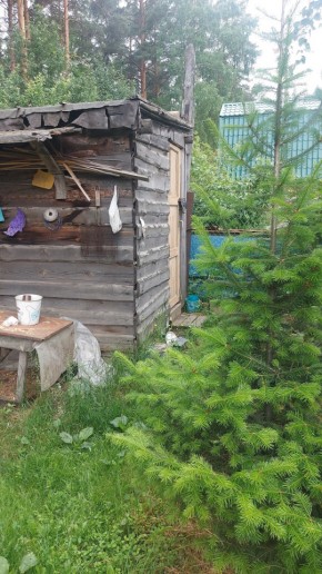 Екатеринбург, СНТ Садовод-24 в Камышлове - kamyshlov.yutvil.ru - фото 13