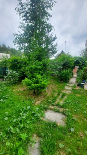 Екатеринбург, СНТ Садовод-24 в Камышлове - kamyshlov.yutvil.ru - фото 16
