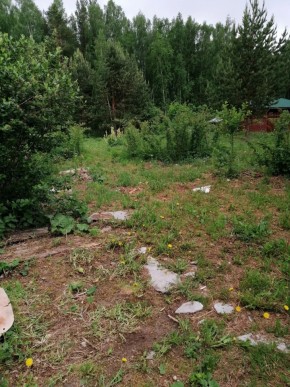 СТН Семья №112, Верхняя пышма на землях бывшего подсобного хозяйтва верхнепышминского опытного завода в Камышлове - kamyshlov.yutvil.ru - фото 17