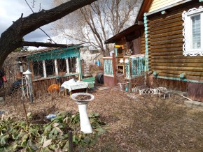 Свердловская обл., Белоярский р-н, у п. Хризолитовый, снт 50 лет Победы в Камышлове - kamyshlov.yutvil.ru - фото 2
