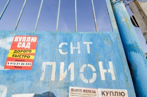 СНТ Пион в Камышлове - kamyshlov.yutvil.ru - фото 26