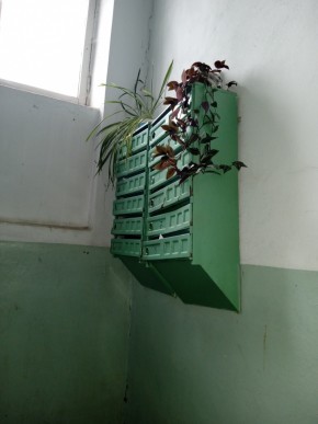 ул. Бажова,11 в Камышлове - kamyshlov.yutvil.ru - фото 3