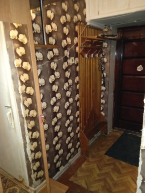 ул. Бажова,11 в Камышлове - kamyshlov.yutvil.ru - фото 9