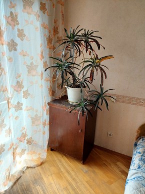 ул. Индустрии,29 в Камышлове - kamyshlov.yutvil.ru - фото 4 ул. Индустрии,29 в Камышлове - kamyshlov.yutvil.ru - фото 4