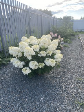 ул. Весенняя,12 в Камышлове - kamyshlov.yutvil.ru - фото 20