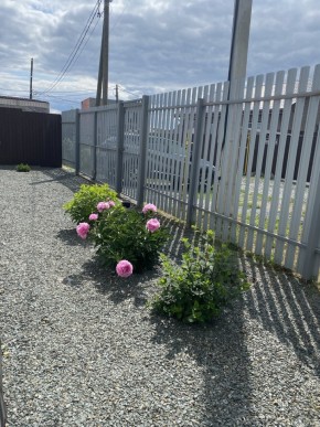 ул. Весенняя,12 в Камышлове - kamyshlov.yutvil.ru - фото 22