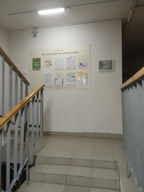 ул. Высокая,7 в Камышлове - kamyshlov.yutvil.ru - фото 8